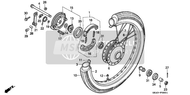 Front Wheel/Panel (C50LAG/G/J/N/SN)